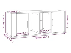Alfinn Mueble de TV madera contrachapada gris Sonoma 100x35x40 cm