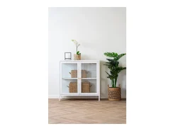Armario con 2 puertas de cristal, acero blanco, 80 x 35 x 80 cm