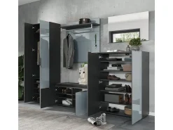 Armario recibidor Artom 2 puertas diseño cristal gris