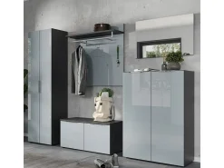Armario recibidor Artom 2 puertas diseño cristal gris