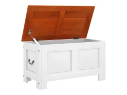 Baúl de almacenaje con tapa madera de acacia marrón y blanco