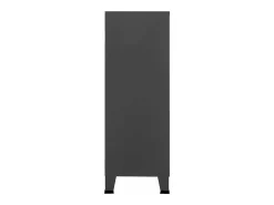 Baúl de almacenaje industrial metal antracita 75x40x115 cm