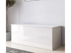 Baúl para Dormitorio en Blanco 100x40x40cm Ariel