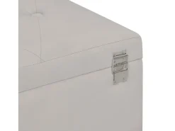 Banco con compartimento de almacenaje 105 cm Terciopelo Gris