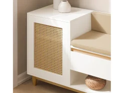 Banco Zapatero con 2 Estantes, 1 Cajón y 1 Puerta Entrada Recibidor con Cojín Acolchado de Asiento 100 x 35 x 60 cm FSR128-W SoBuy ES