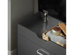 Banco Zapatero con 1 Solapa para Entrada Banco de Almacenamianto con Cojín Acolchado de Asiento 60 x 30 x 50 cm Gris FSR95-HG SoBuy ES