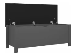 Caja de almacenaje y cojín madera ingeniería gris 105x40x45 cm