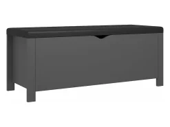 Caja de almacenaje y cojín madera ingeniería gris 105x40x45 cm