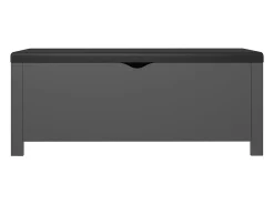 Caja de almacenaje y cojín madera ingeniería gris 105x40x45 cm ES151158