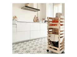 Caja de almacenamiento con ruedas Evolution (Juego de 3)