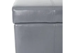 Cofre de almacenamiento Kriens, gris