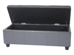 Cofre de almacenamiento Kriens, gris