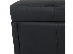 Cofre de almacenamiento Kriens, negro mate