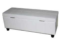Cofre de almacenamiento Kriens, blanco