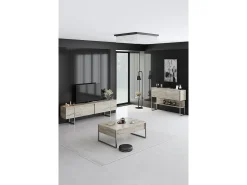 Consola Kailua Z120, Plata|De color marrón claro, 80x120x30cm, Con puertas