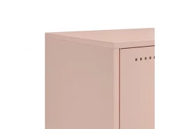 Cyprien Mueble de TV acero rosa 100,5x39x43,5 cm