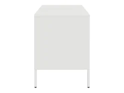 Dundrum Mueble para TV acero blanco 68x39x50,5 cm