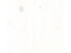 Estantería/divisor de espacios madera pino blanco 80x25x101 cm