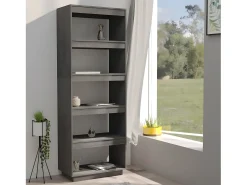 Estantería/divisor de espacios madera de pino gris 60x35x167 cm