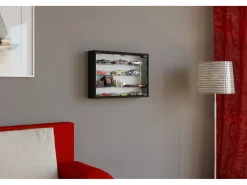 Estuche de exhibición de pared Mandosa