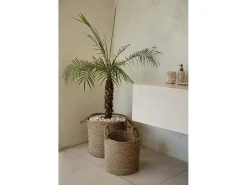 La Cesta Sensity - Natural - XL