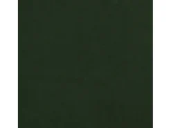 Mecedora con patas de madera de caucho Terciopelo verde oscuro