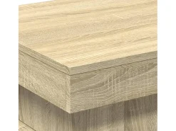 Mesa de centro con luces LED roble Sonoma 50x50x40 cm