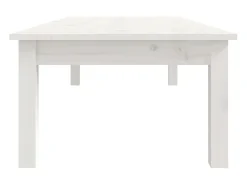 Mesa de centro de madera maciza de pino blanco 110x50x30 cm