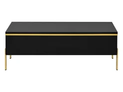 Mesa de centro lacada brillante 100x50x36 cm - 2 cajones - Patas de metal - Tableros de partículas - Negro