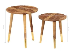 Mesas de centro 2 piezas madera maciza de sheesham