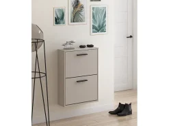 Meyvaser - Zapatero con 2 Puertas, Mueble para Zapatos Estrecho en Color Beige, Medidas: 73 cm (Alto) x 54 cm (Ancho) x 18 cm (Fondo)