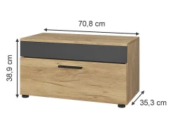 Mueble de salón oro power roble/antracita 70.8x35.3x38.9 berno