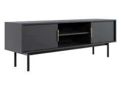 Mueble de TV con 2 puertas y 2 estantes - Negro - DABRIANA
