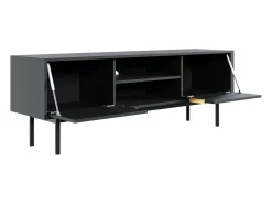 Mueble de TV con 2 puertas y 2 estantes - Negro - DABRIANA