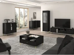 Mueble TV de 2 puertas con pies dorados - 121 cm - grafito negro - OKTIO