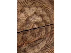 Mueble TV de 2 puertas y 2 cajones de madera maciza de mango