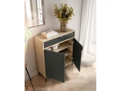 Mueble zapatero/armario - A89cm x L90cm x P29cm roble claro puertas gris grafito - Alice