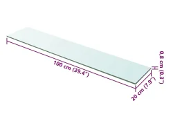 Panel de estante Vidrio transparente 100 x 20 cm