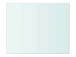 Panel de estante Vidrio transparente 20 x 25 cm