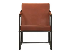 Sillón de cuero auténtico marrón