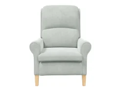 Sillón de salón | Silla de relax | Sillón Gris claro 76x94x102 cm Terciopelo SHL5624