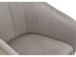 Sillón de terciopelo con ribete dorado Paris - Gris