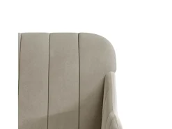 Streetsboro Sillón de terciopelo gris claro 63x76x80 cm