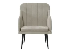 Streetsboro Sillón de terciopelo gris claro 63x76x80 cm