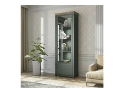 Vitrina 1 puerta colección ASSIA. Color verde y roble. Apertura derecha.