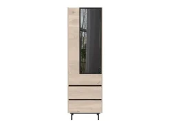 Vitrina básica de diseño en negro y roble