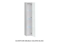 Vitrina colgante negra con 1 puerta de vidrio y iluminación LED incluida. Colección SWITCH.