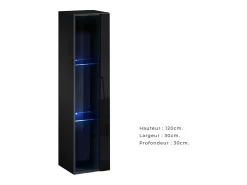 Vitrina colgante negra modelo pequeño con 1 puerta de vidrio y iluminación LED incluida. Colección SWITCH.