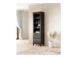 Vitrina de 1 puerta baja colección PALACE. Color gris y roble oscuro.
