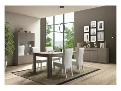 Vitrina de diseño con 2 puertas, colección DOMI, gris antracita/roble oscuro